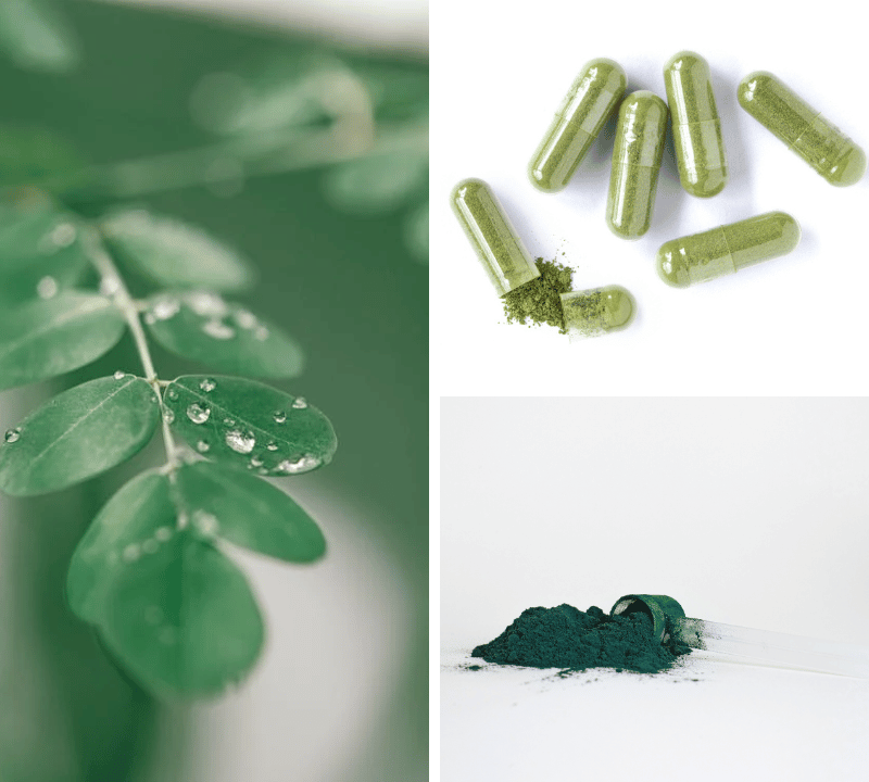 From Leaf to Life: A Guide to the Best Moringa Supplement on the Market!