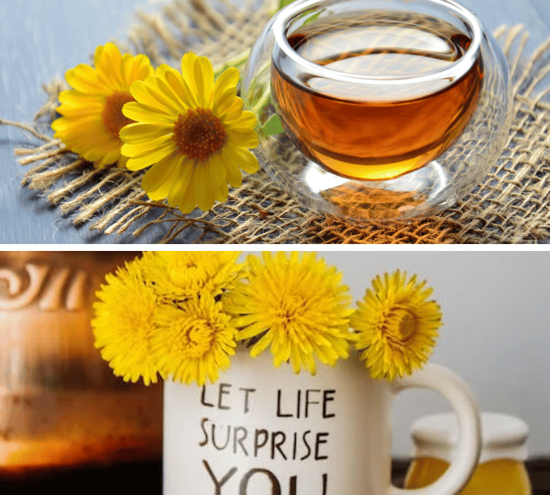 Is It Safe To Take Dandelion Everyday? Health Benefits, Risks, and Side Effects