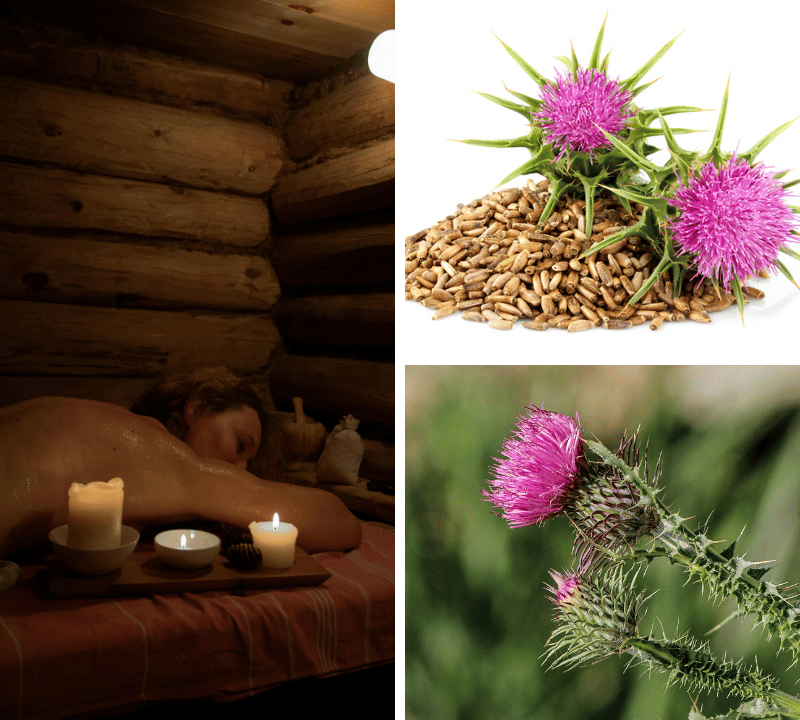 The 5 Best Milk Thistle Supplements Reviewed
