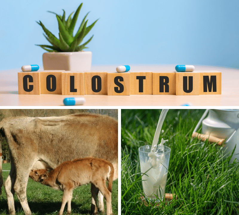 What Are The 3 Benefits of Colostrum? Why This ‘Liquid Gold’ Matters for Everyone