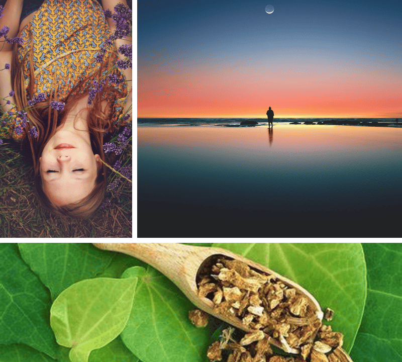 Tranquility in a Capsule: Your Guide to the 5 Best Kava Supplements on the Market