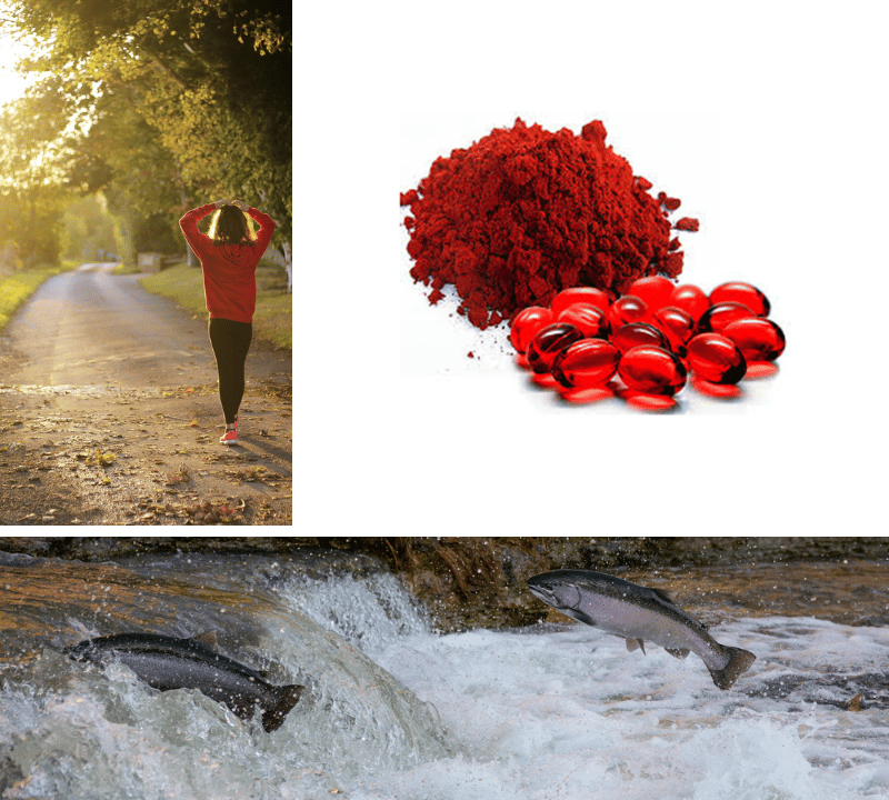 Ride the Natural Wave: Discover The Five Best Astaxanthin Supplements Making a Splash