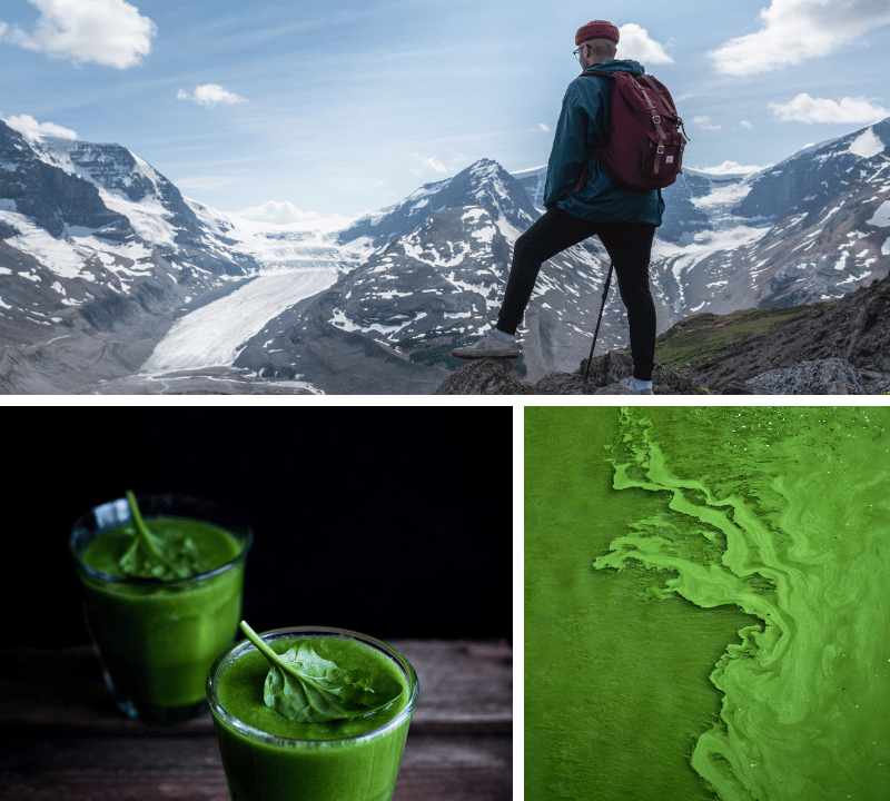 The Chlorella Chronicles: Unlock the Secrets of This Supergreen Powerhouse