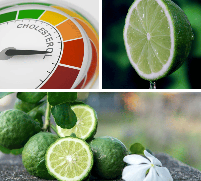 Unpeeling the Power: Best Citrus Bergamot Supplements Reviewed