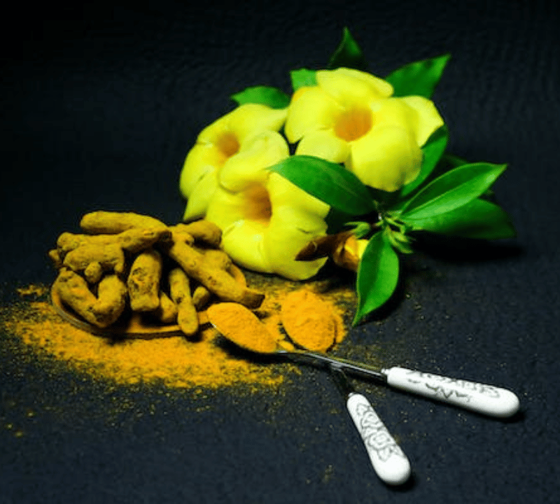 Which is Better for Joint Pain: Turmeric or Curcumin? The Ultimate Comparison