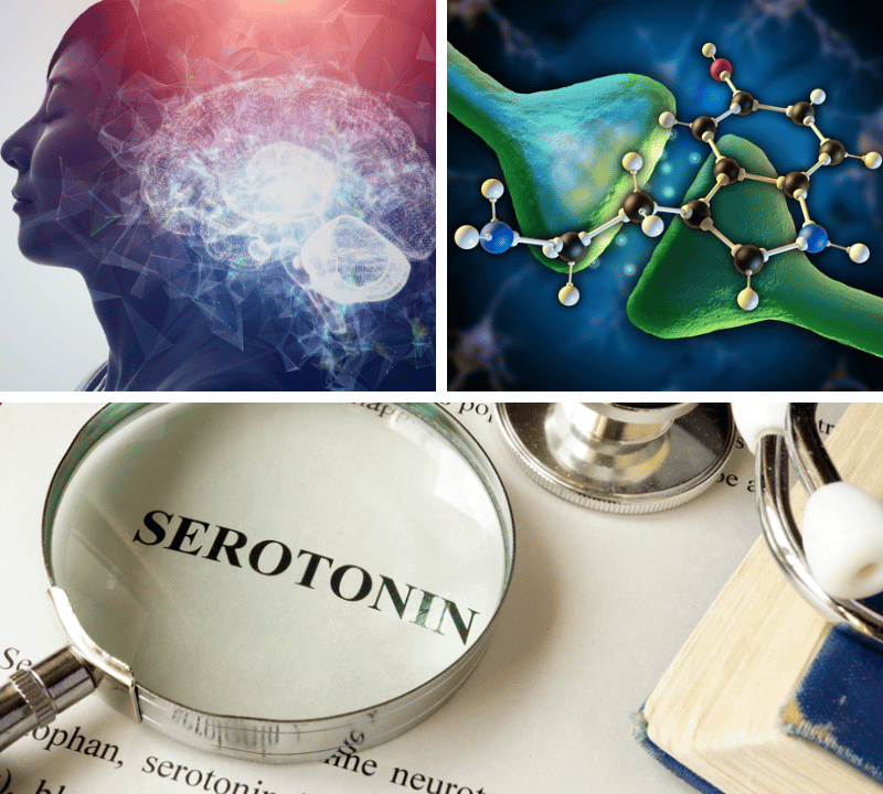 Beyond Serotonin: How the Best 5-HTP Supplement Can Change Your Life
