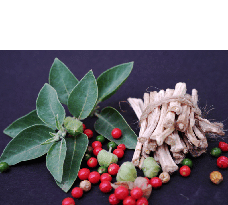 How Do I Know Which Ashwagandha Is Best? Your Guide to Picking Quality Supplements
