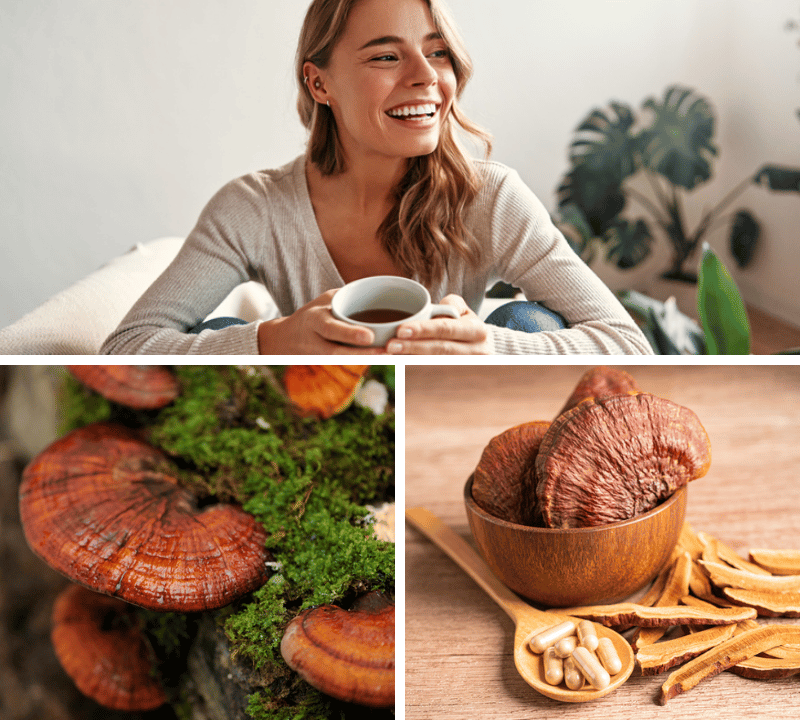 Unlock the Power of Purity: The Best Reishi Mushroom Supplements for Potency and Effectiveness